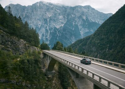 Support for the transformation of the distribution network of a Premium* automaker