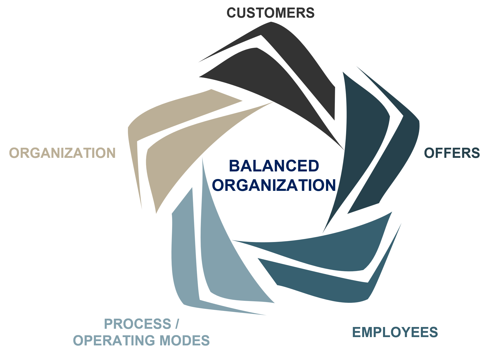 Balanced organization